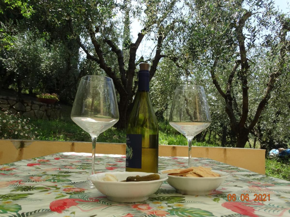 Poggio House, tranquillità e comfort nella natura San Casciano in Val di Pesa Exterior foto