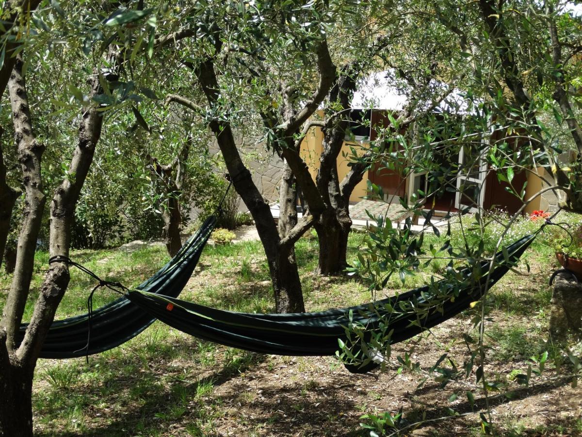 Poggio House, tranquillità e comfort nella natura San Casciano in Val di Pesa Exterior foto