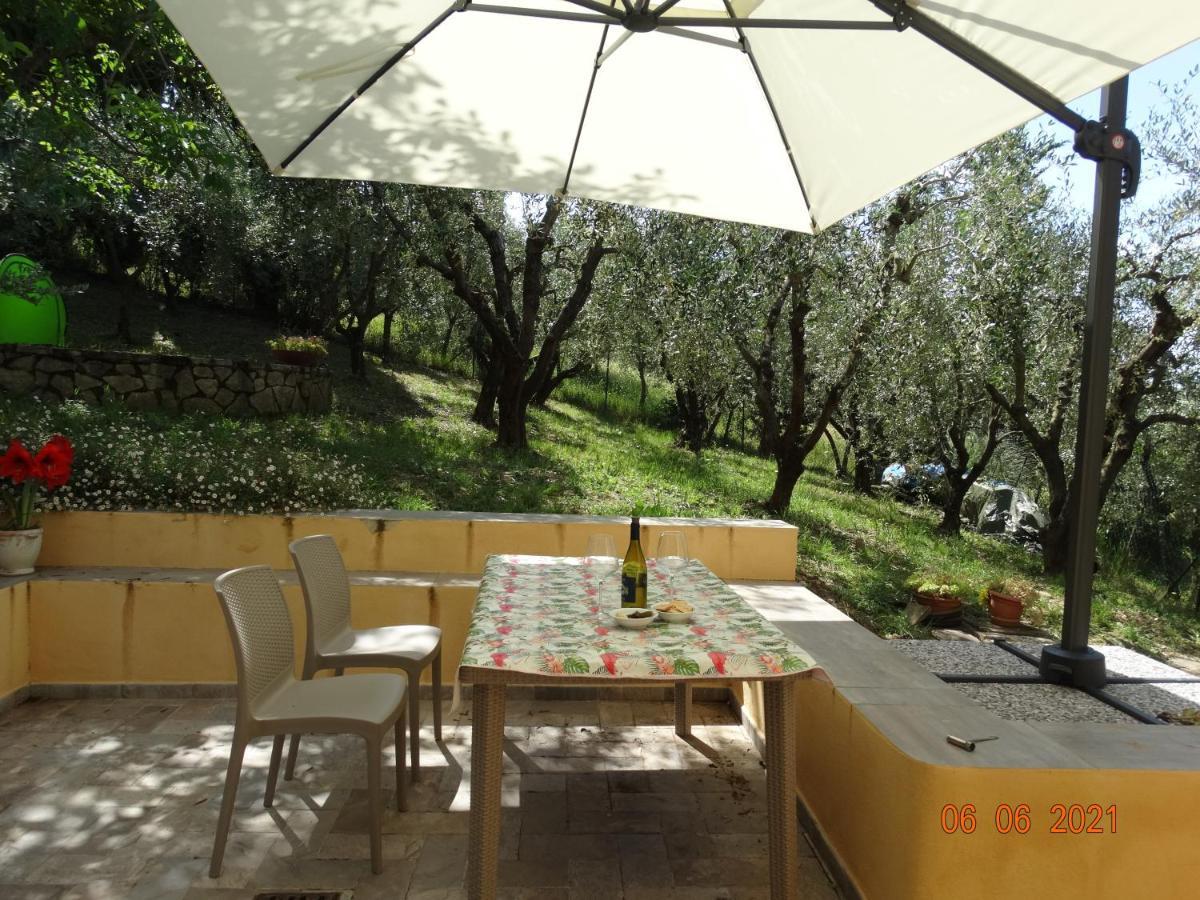 Poggio House, tranquillità e comfort nella natura San Casciano in Val di Pesa Exterior foto