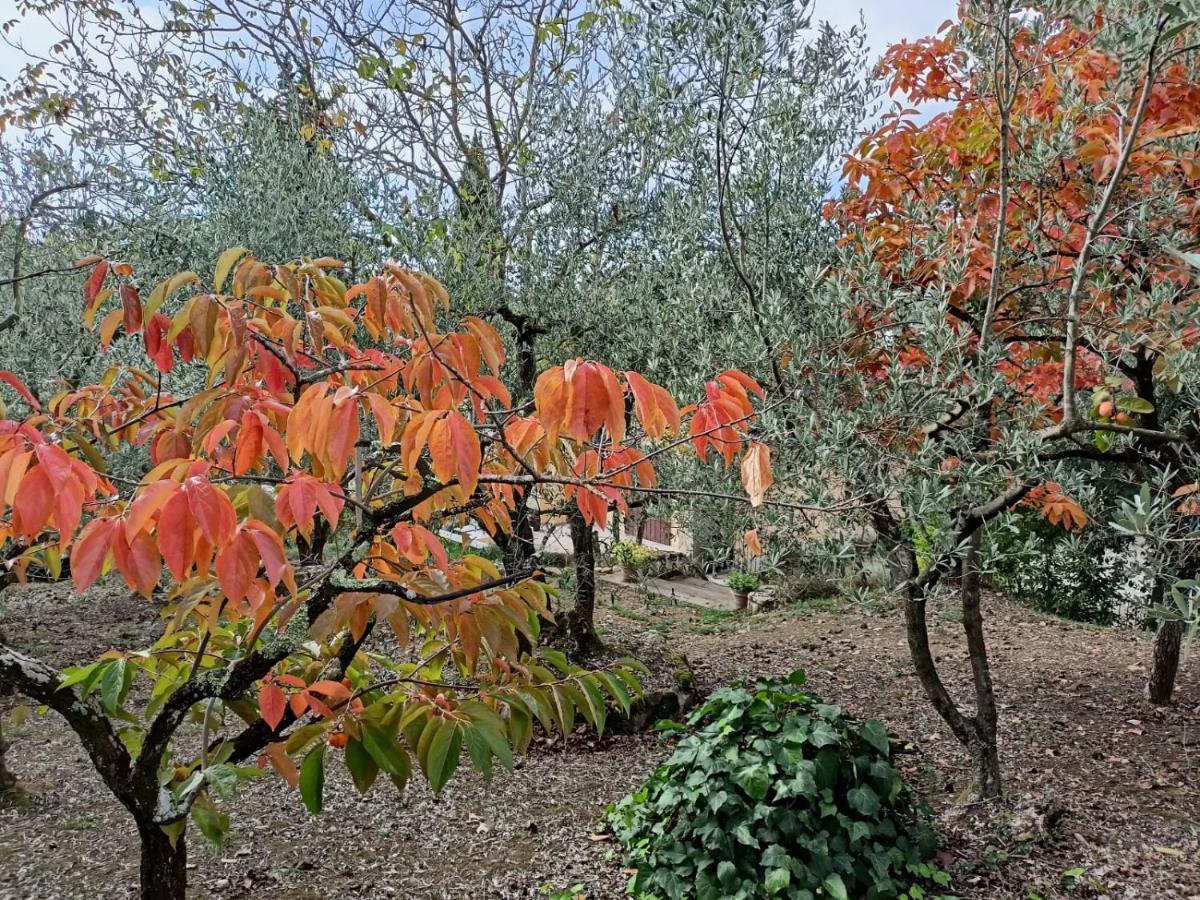 Poggio House, tranquillità e comfort nella natura San Casciano in Val di Pesa Exterior foto