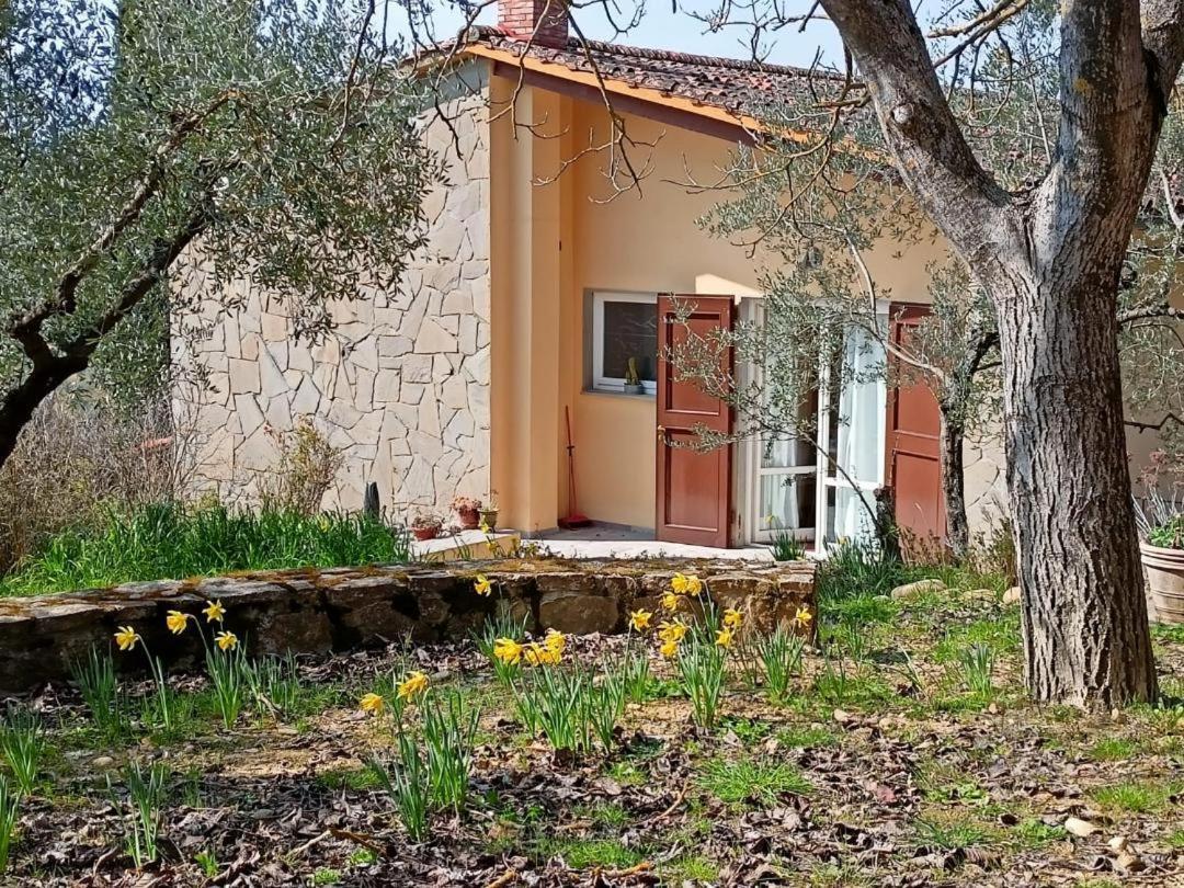 Poggio House, tranquillità e comfort nella natura San Casciano in Val di Pesa Exterior foto