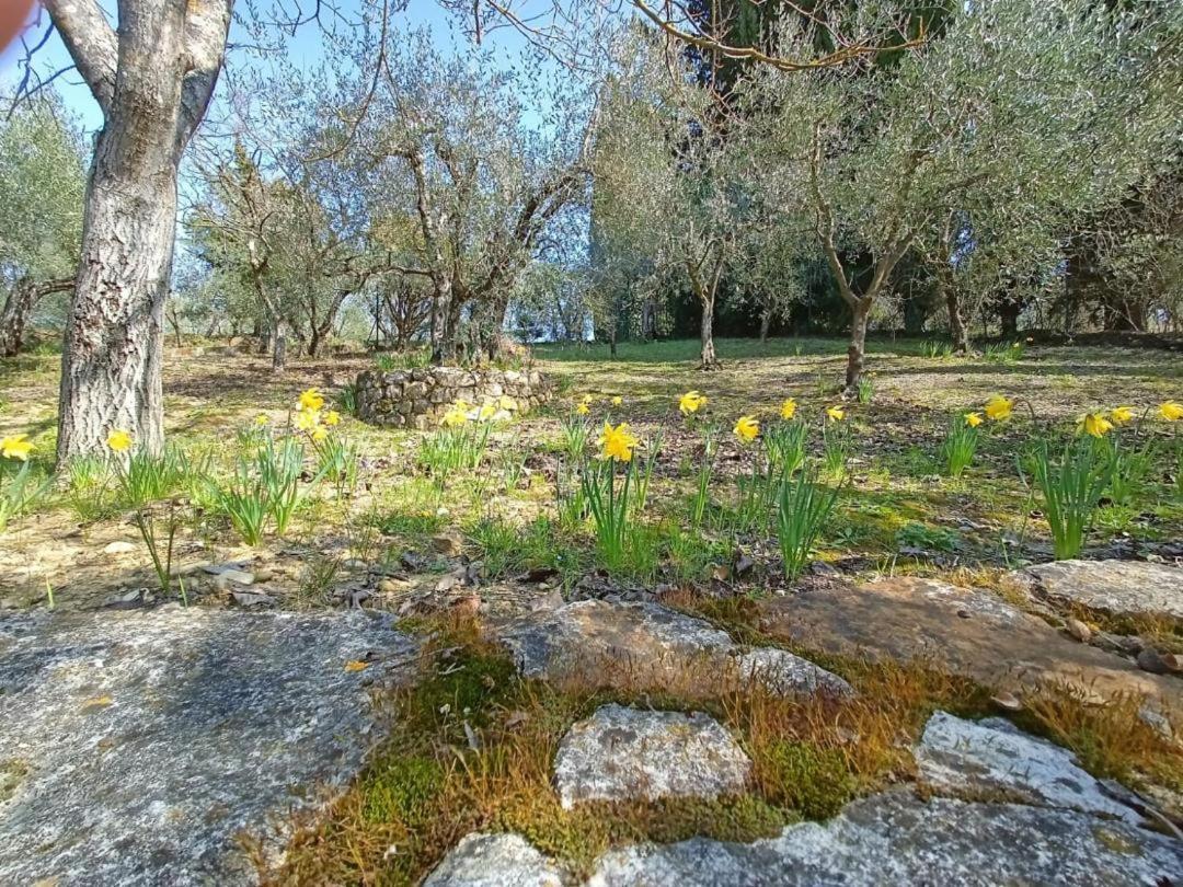 Poggio House, tranquillità e comfort nella natura San Casciano in Val di Pesa Exterior foto